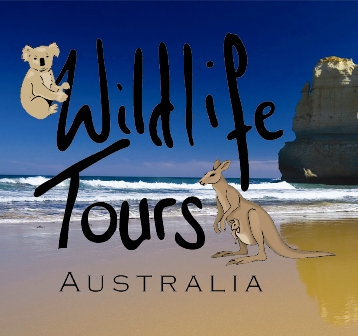 Wildlife Tours Australia