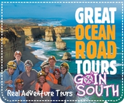 GOIN SOUTH TOURS