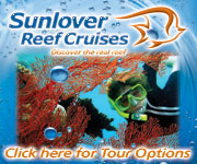 Sunlover Reef Cruises