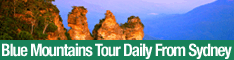 A Surfing Kangaroo Day Tour