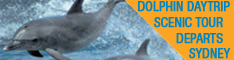 A Surfing Kangaroo Day Tour