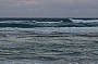 Fraser Island Local