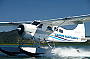 Beaver seaplane