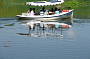 Daintree River Cruise