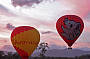 Ballooning + Skyrail + Kuranda + Train ex Cairns + Beaches