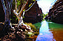 Pilbara Explorer / Ningaloo Adventure