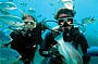 Great Barrier Reef Adventures