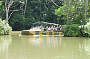 Army Duck at Rainforestation Nature Park