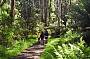 3 Day Great Ocean Road & Grampians Tour