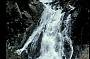 1 Day Aboriginal Daintree Dreaming Tour