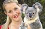 Cuddle a Koala
