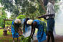 Traditional Smoking Ceremony