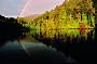 Gordon River Cruise
