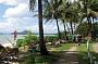CITY TO PALM COVE TRANSFERS