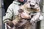 Megs our sponsored wombat
