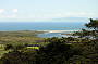 Daintree Cape Tribulation 4WD Bloomfield Track