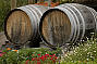 Boutique Wineries