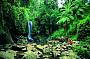 Curtis Falls