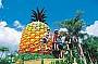 Big Pinapple