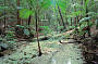 Mossman Gorge depart Port Douglas