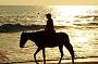 Horse Riding on the Beach