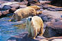 Sea World General Admission