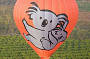 We fly the Worlds largest balloon - daily
