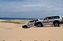 Port Stephens Dolphins & Dunes