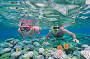 Snorkelling Agincourt Reef