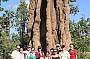 Termite Mounds