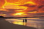 2 hour Noosa Twilight Tour 