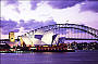 Christmas Party Harbour Cruises COMEDY/SALSA Dinner,Beer,Wine