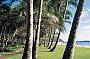 Walkway to the beach
