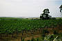 Oodnadatta Track to Clare Vineyards