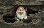 Gnomesville