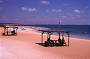 Monkey Mia Beach