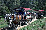 Wagons Ho!