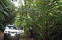 Clohesy 4WD