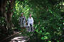 Rainforest Walk
