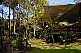Cedar Park Rainforest Resort