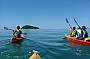 Snapper Island Sea Kayaking