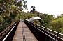 Treetop Walk