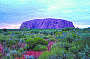 Uluru Sunrise and Guided Cultural Walk