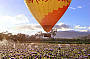 Balloon Flight + Hot Breakfast + Transfers with Hot Air Ex: Gold Coast (30 Mins)