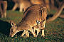 7 Days - 6 Nights Cairns to the Top End Tropical Gulf Explorer