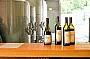Witches Falls Winery