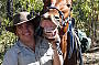 Gypsy - Our Smiling Horse