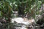 Pile Valley-Fraser Island