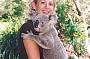Cuddle a koala for Free at Lone Pine Koala Sanctuary