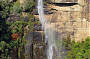 Fitzroy Falls, Yarrunga Valley